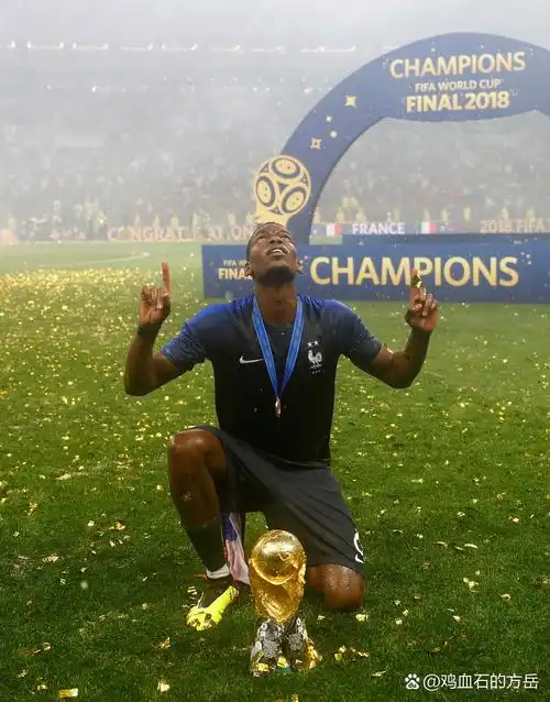 的高光表现 的高光表现